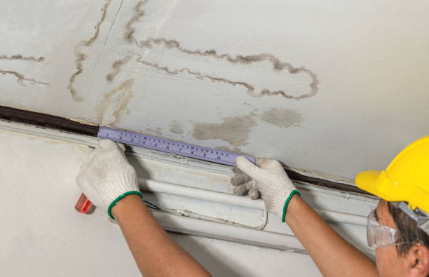 Reliable Mold Remediation contractor in Chico, TX by Water Damage Irwin